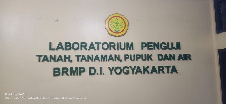 team_kreatif_huruf timbul dan neonbox